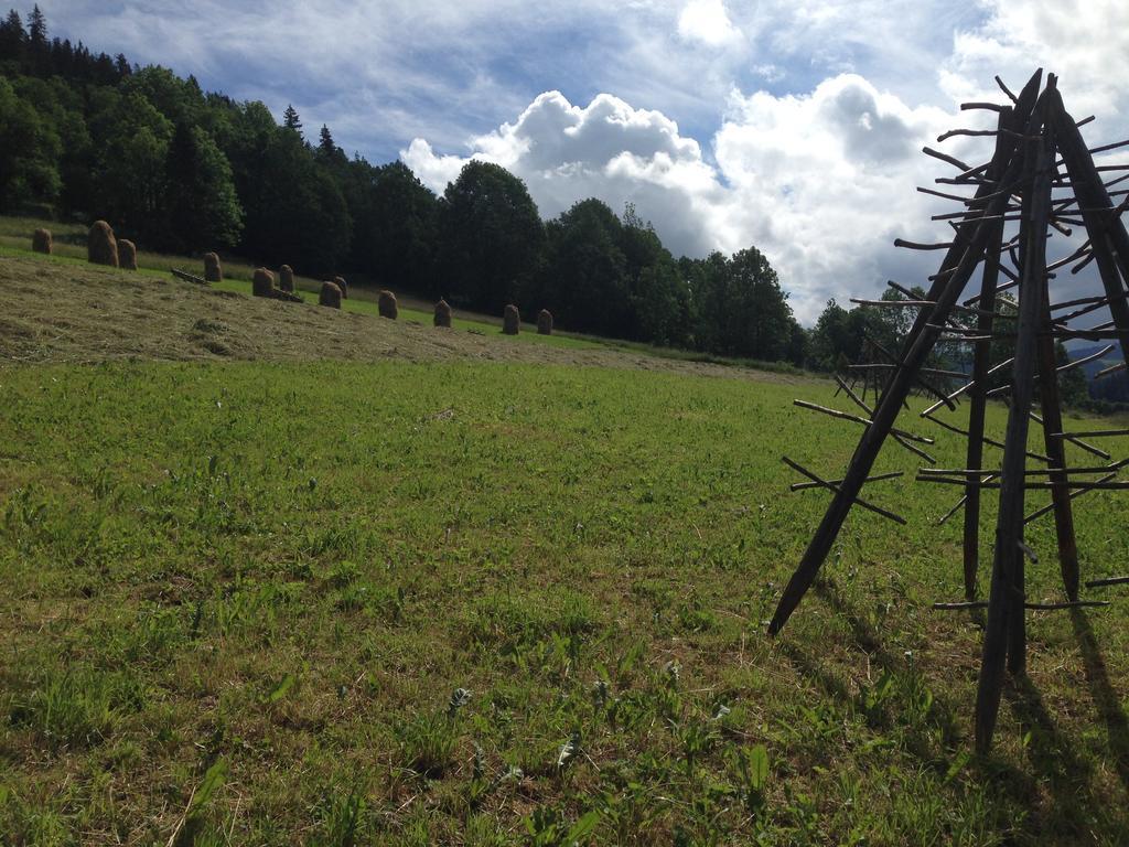 Pokoje Goscinne Madzia Poronin Exterior foto